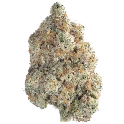 Buy Berry Pie Strain AU