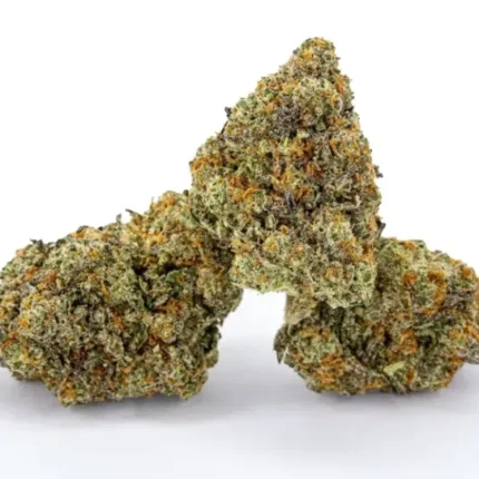 BUY Biscotti Strain AU