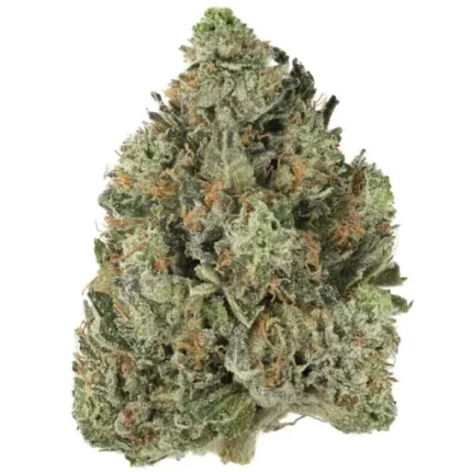 BUY Bubba OG Strain AU