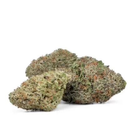 BUY Jack Herer Strain AU